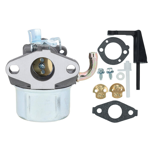 Hipa 798653 Carburetor for Briggs & Stratton 698859 694508 110432 110492 110412 Engine Replace 697354 795069 698860 791077 696981 600