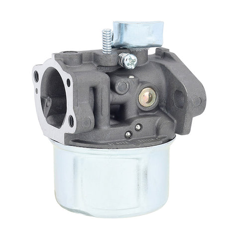 Hipa 798653 Carburetor for Briggs & Stratton 698859 694508 110432 110492 110412 Engine Replace 697354 795069 698860 791077 696981