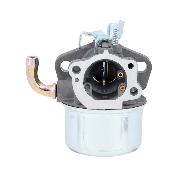 Hipa 798653 Carburetor for Briggs & Stratton 698859 694508 110432 110492 110412 Engine Replace 697354 795069 698860 791077 696981