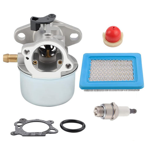 Hipa Carburetor Kit for Briggs & Stratton 6.0 650 Series 190cc 799868 497586 498170 498254 497314 497347 694202 693909 692648 498255 498966 Engine